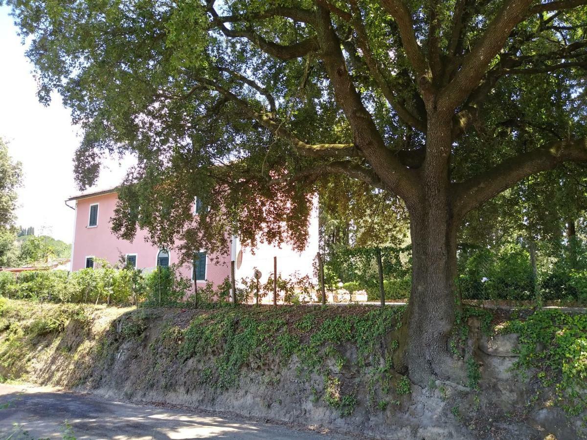 Podere Il Leccione Palaia Eksteriør bilde